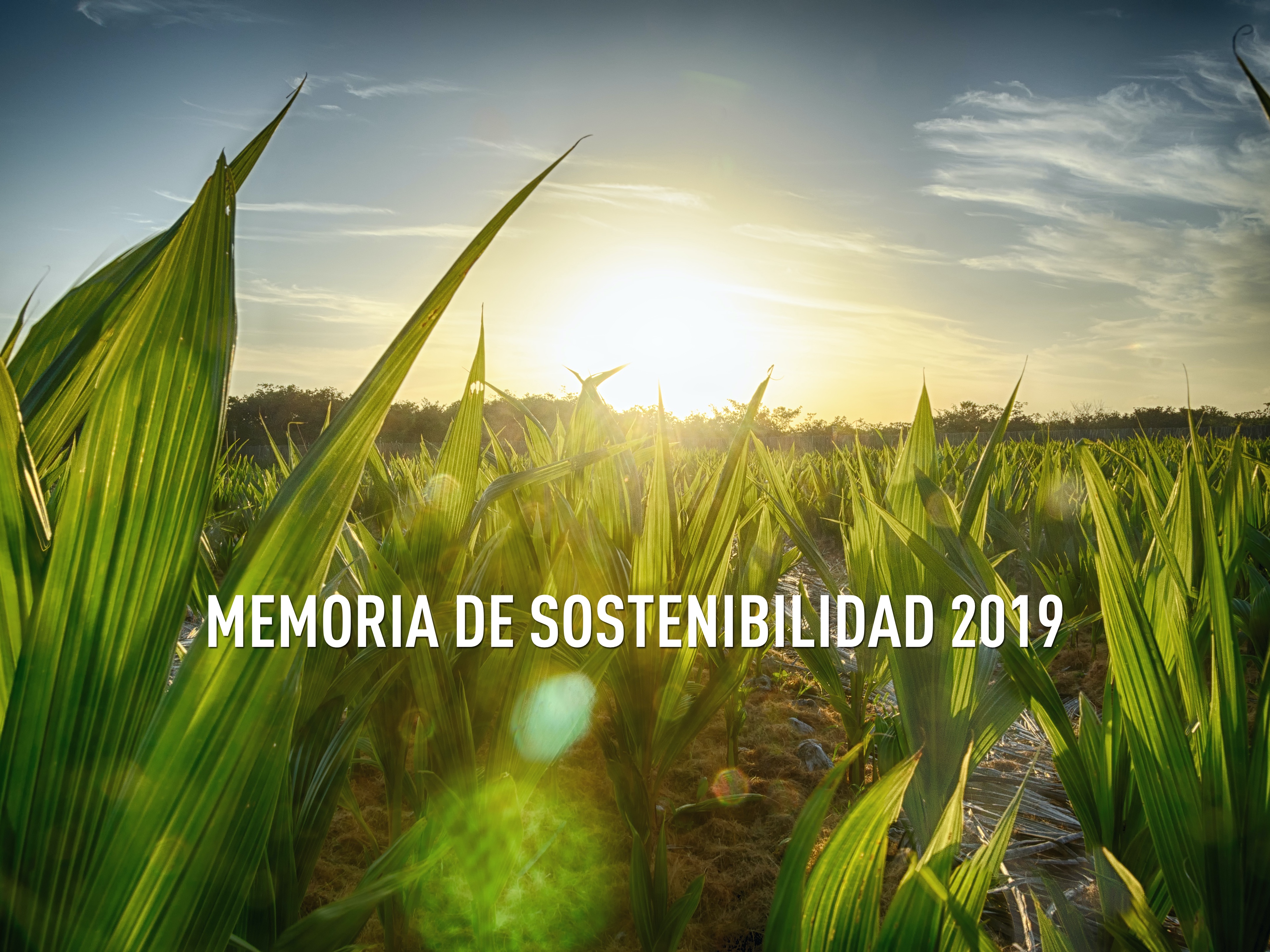 Memoria de sostenibilidad 2019