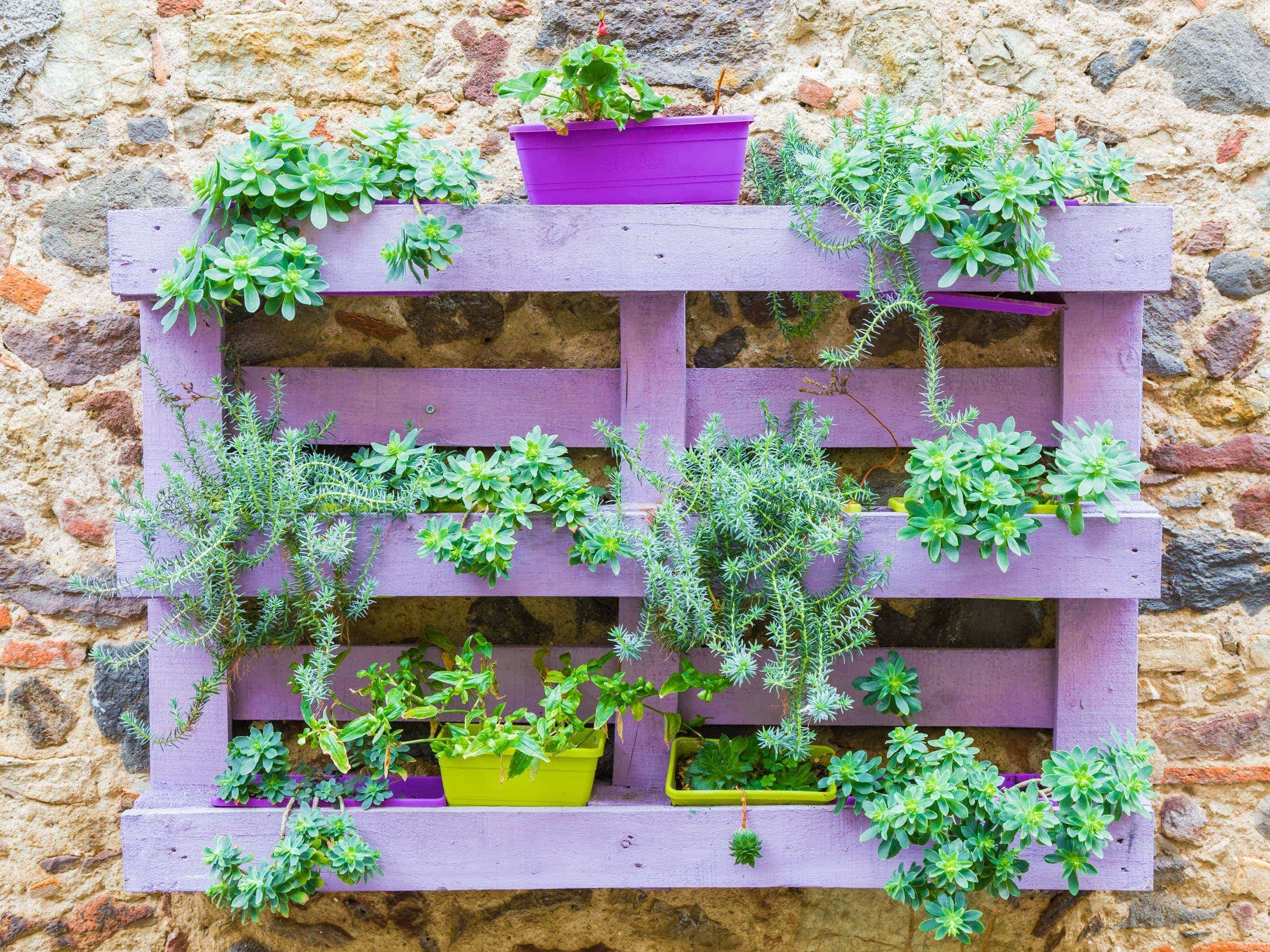 Cómo crear jardín vertical con casero, bonito fácil - ALDI