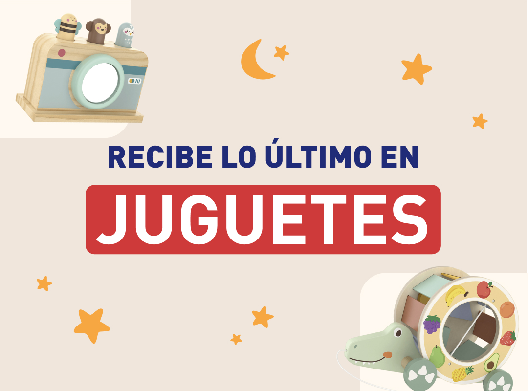 Suscríbete a la Newsletter